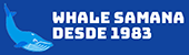 Mejores Tours de Avistamientos de Ballenas en Samana Republica Dominicana