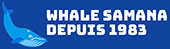 Excursion Observation des Baleines dans la Baie de Samana Republique Dominicaine.